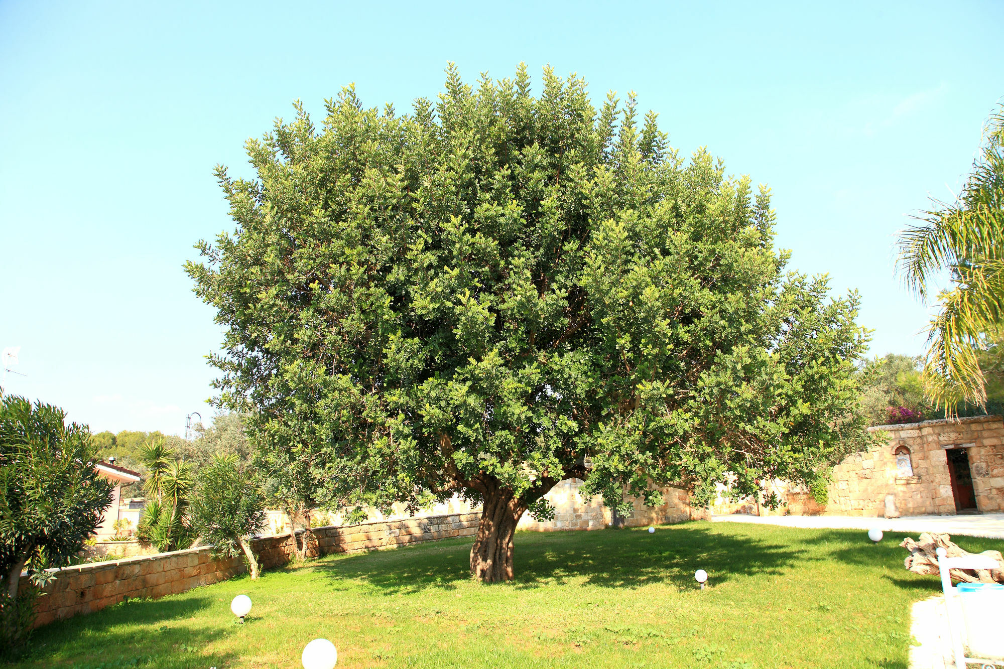 אוג'נטו Eden Resort Country מראה חיצוני תמונה